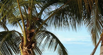 Bangaram Island Resort - Ihcl Seleqtions, Lakshadweep