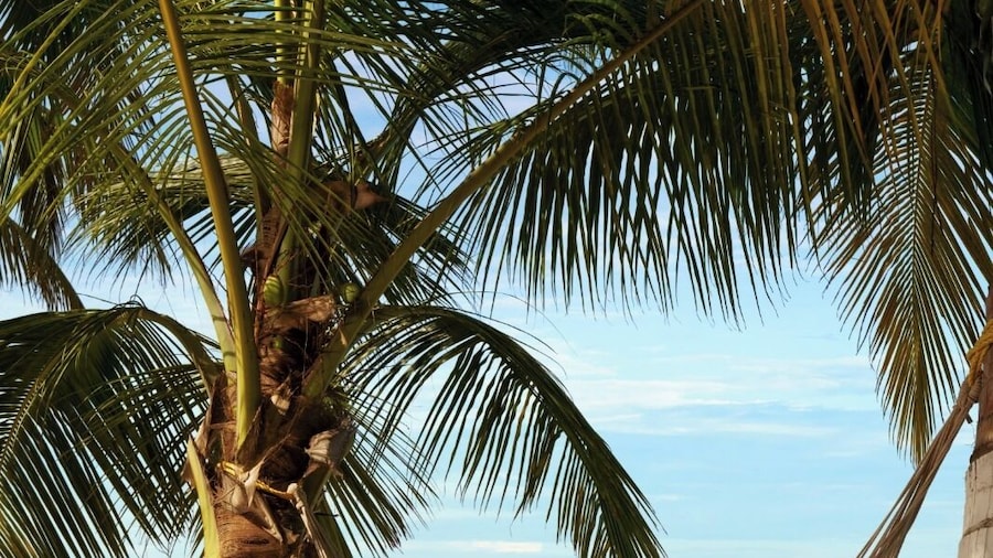 Bangaram Island Resort - Ihcl Seleqtions, Lakshadweep