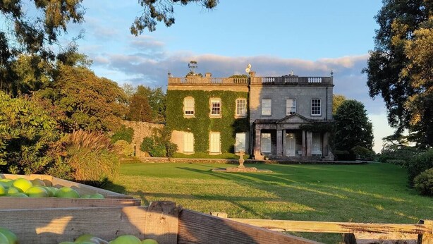 A large building with a green ivy-covered wall and a well-maintained lawn.