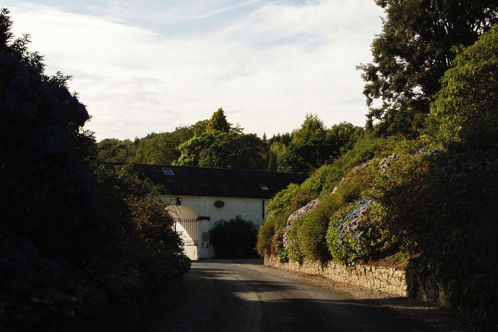 Une route de campagne mène à un bâtiment blanc surmonté d’une structure en forme de dôme, entouré d’une végétation luxuriante et de plantes en fleurs.