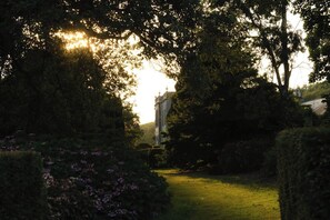 A garden with a pathway leading to a building with a tower, surrounded by trees and shrubs.