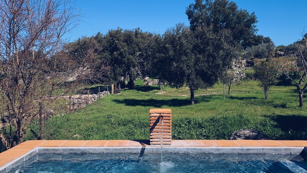 A swimming pool with clear blue water, surrounded by a grassy area and trees. - MURTA PEQUENA T2 with private pool (Marvão)