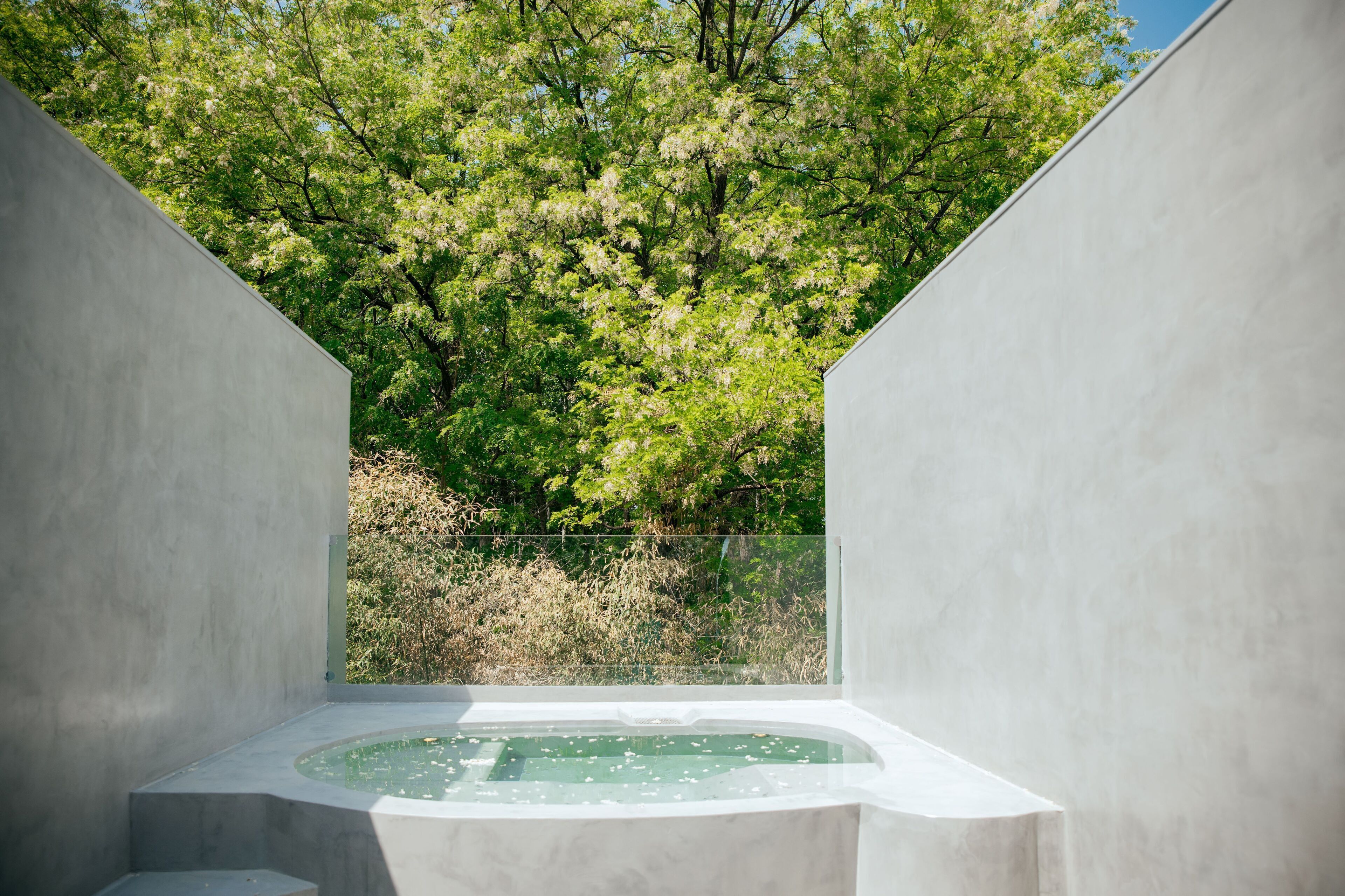 A modern outdoor spa area with a hot tub surrounded by concrete walls and a view of lush trees.