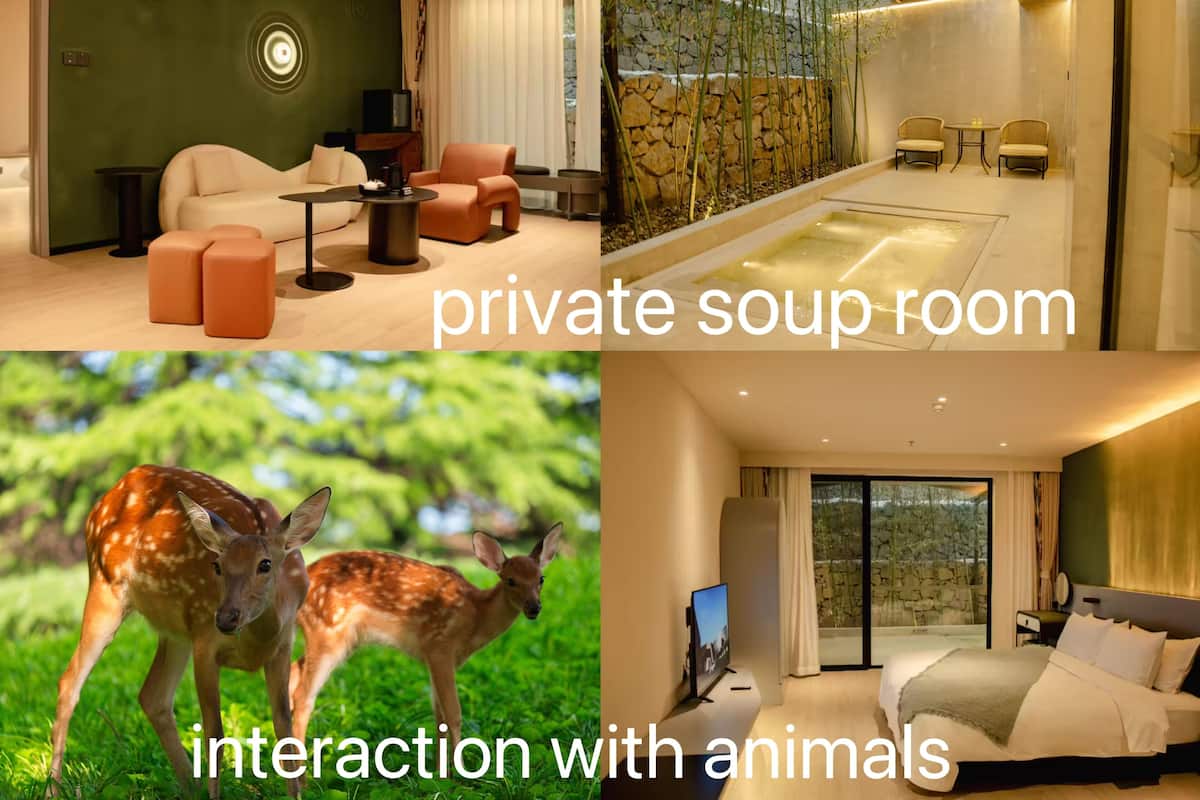 Signature Suite | 1 bedroom, in-room safe, blackout drapes, iron/ironing board