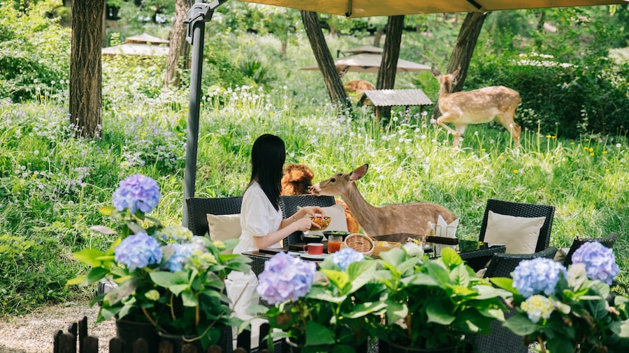Zhi Resort Beijing
