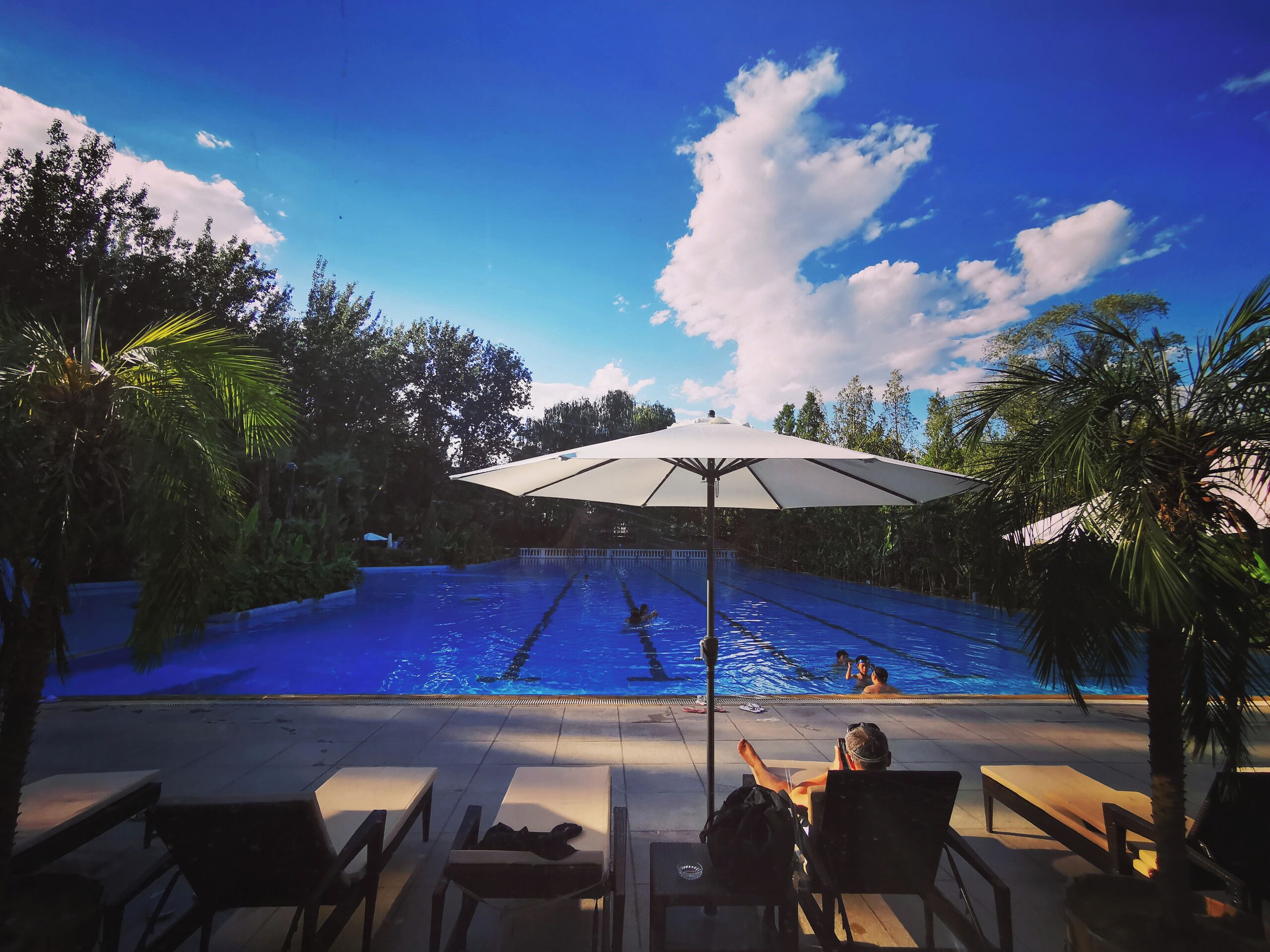 Seasonal outdoor pool, pool umbrellas, sun loungers