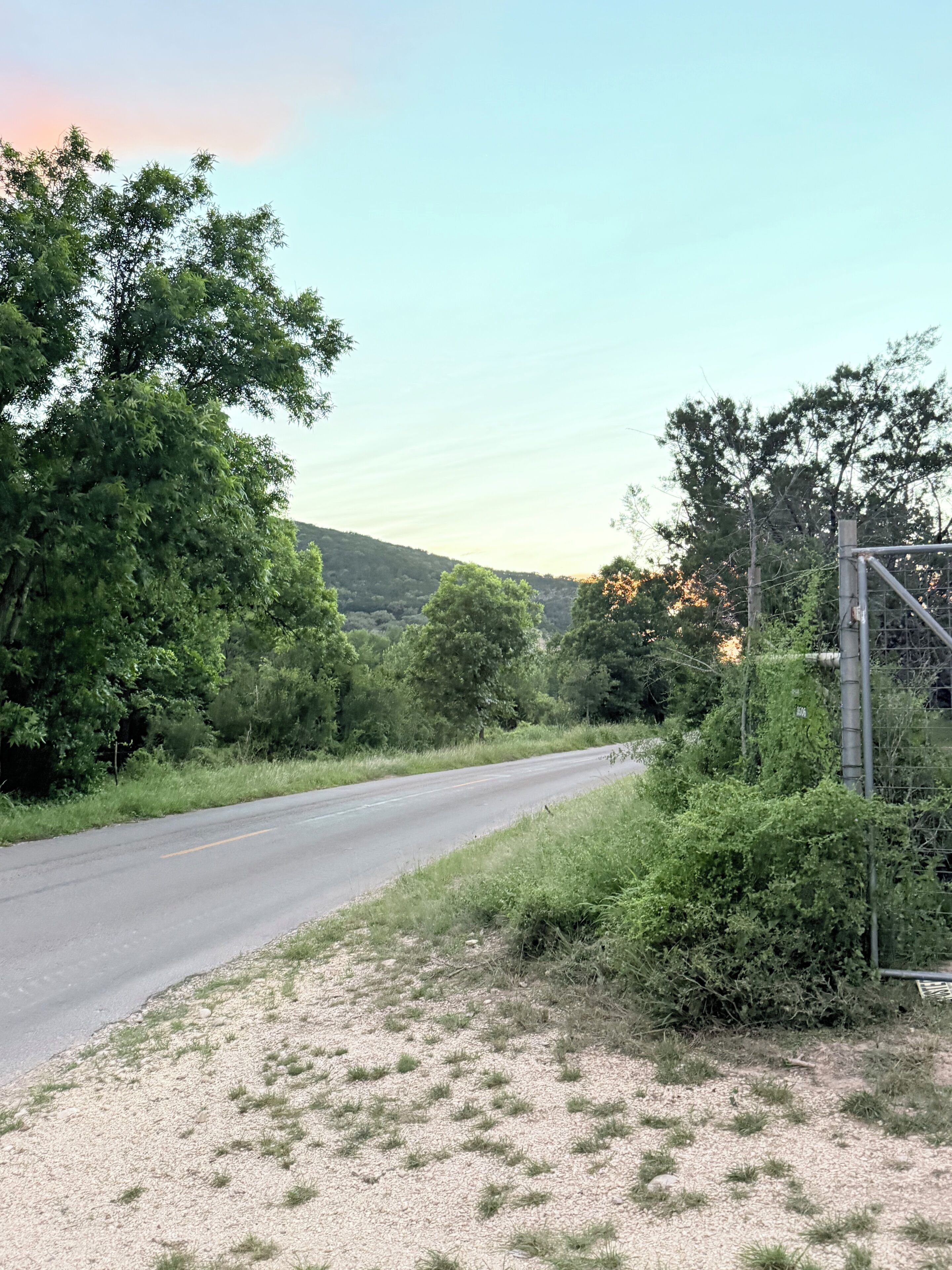 A rural road with dense greenery on both sides, a gravel shoulder, and a metal fence on the right.