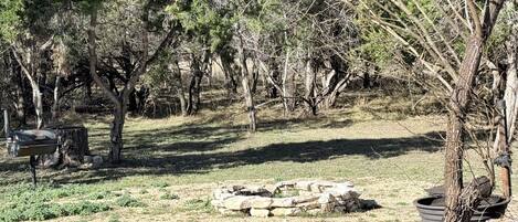 Un cadre extérieur naturel agrémenté d’arbres, d’un barbecue et d’un foyer.