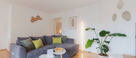 Fernseher