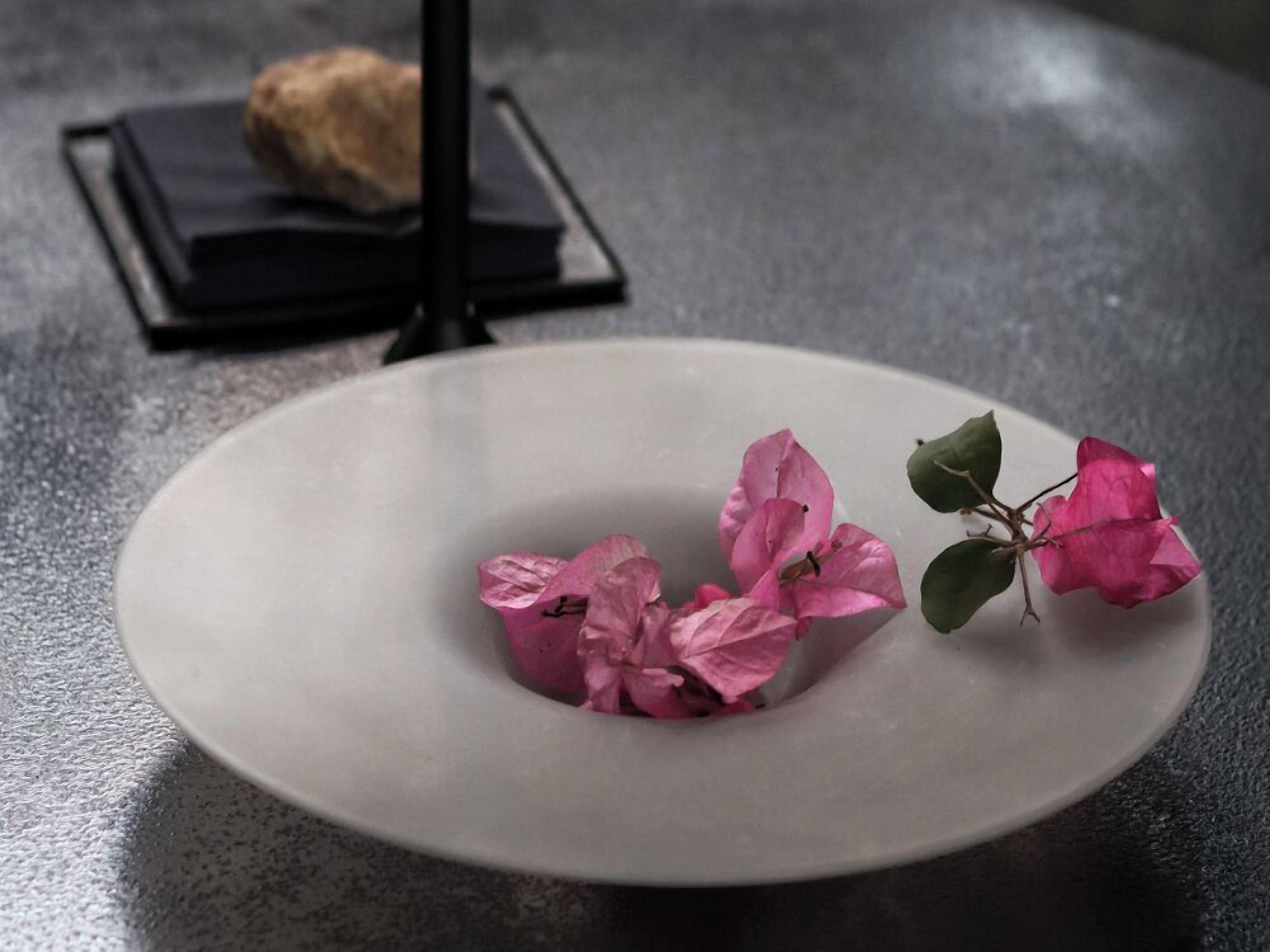 Un plato blanco con flores rosadas y hojas verdes sobre una superficie texturizada.