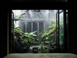 Senior Double Room | View from room