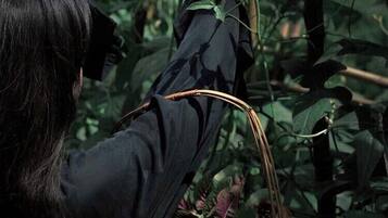 A person harvesting plants from a garden.