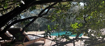 Ecolodge 2: Sparrowhawk