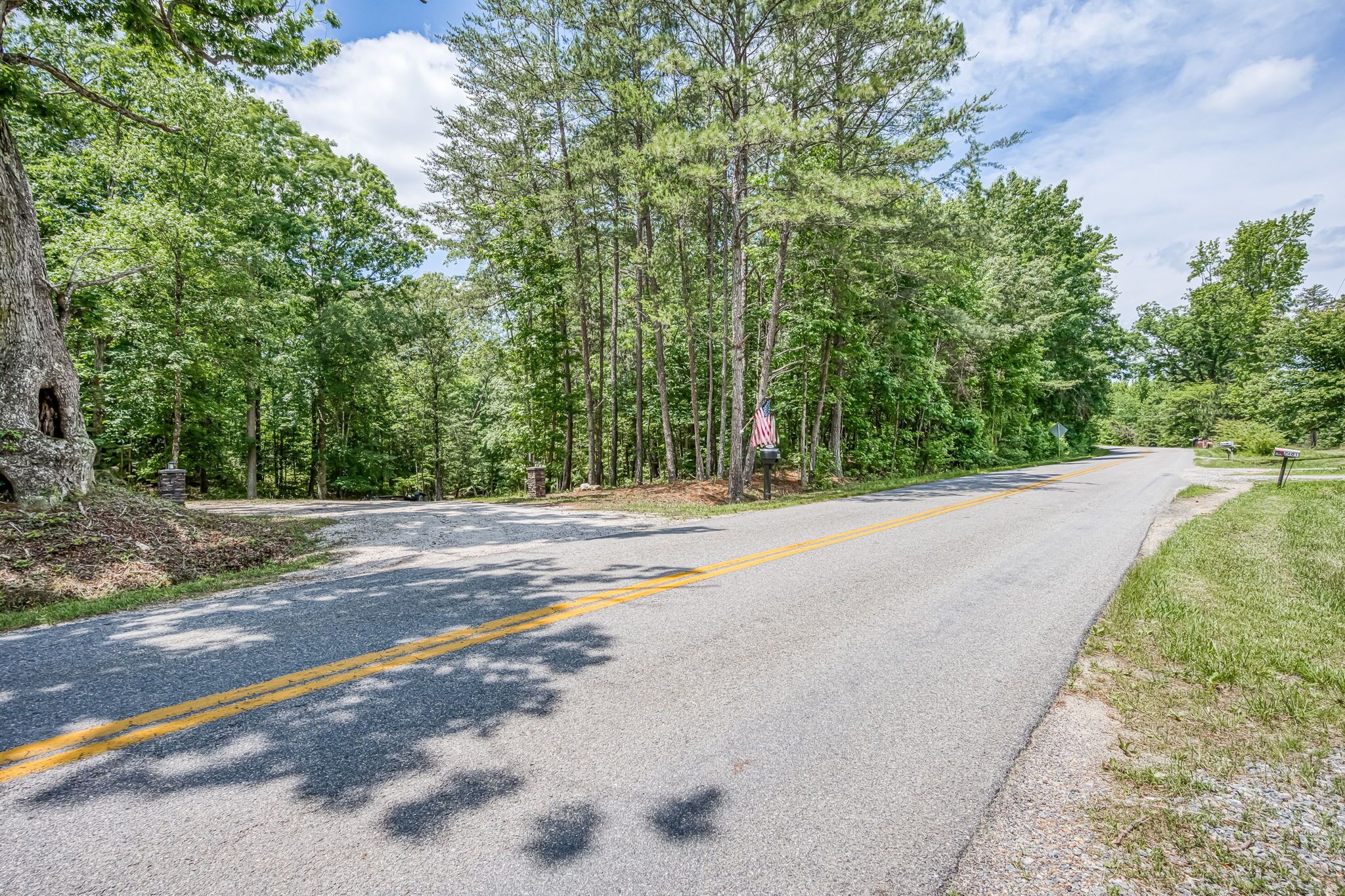 A paved road flanked by tall trees and a grassy area.
