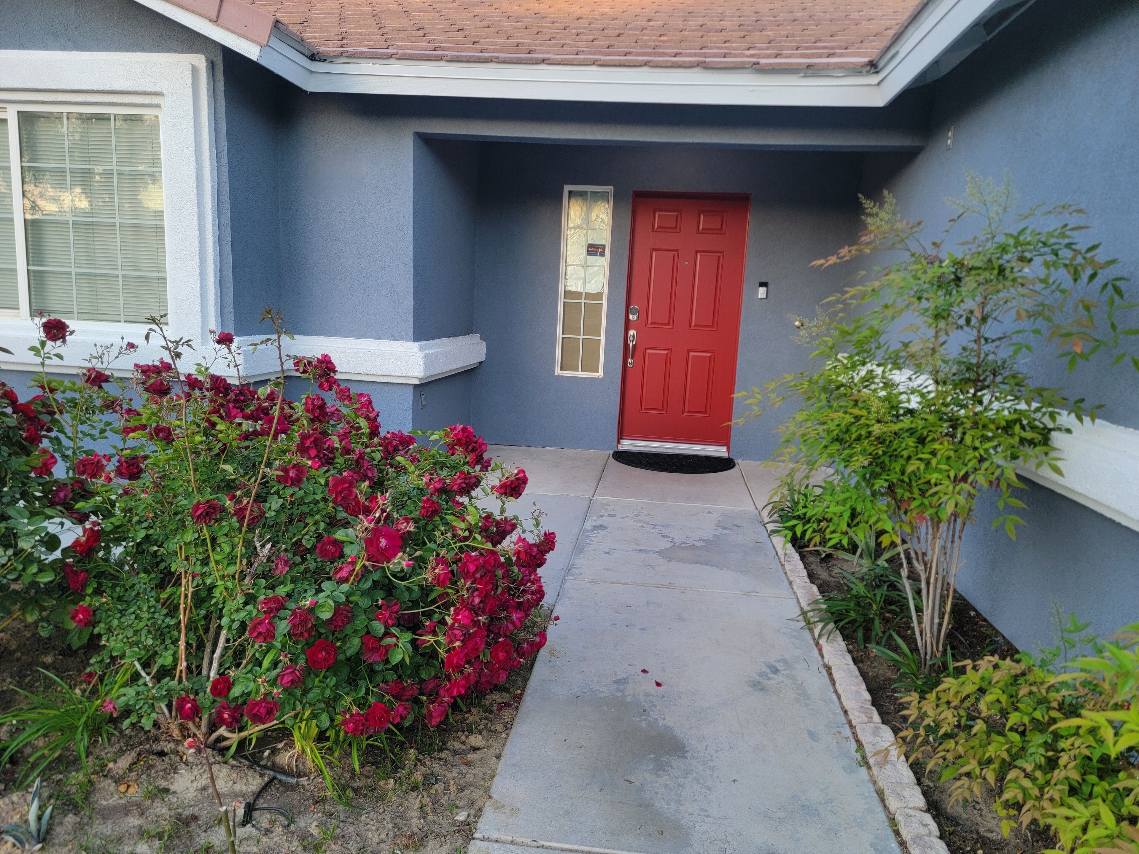 A residential house with a red door, a small front yard with red roses, and a concrete pathway leading to the entrance.