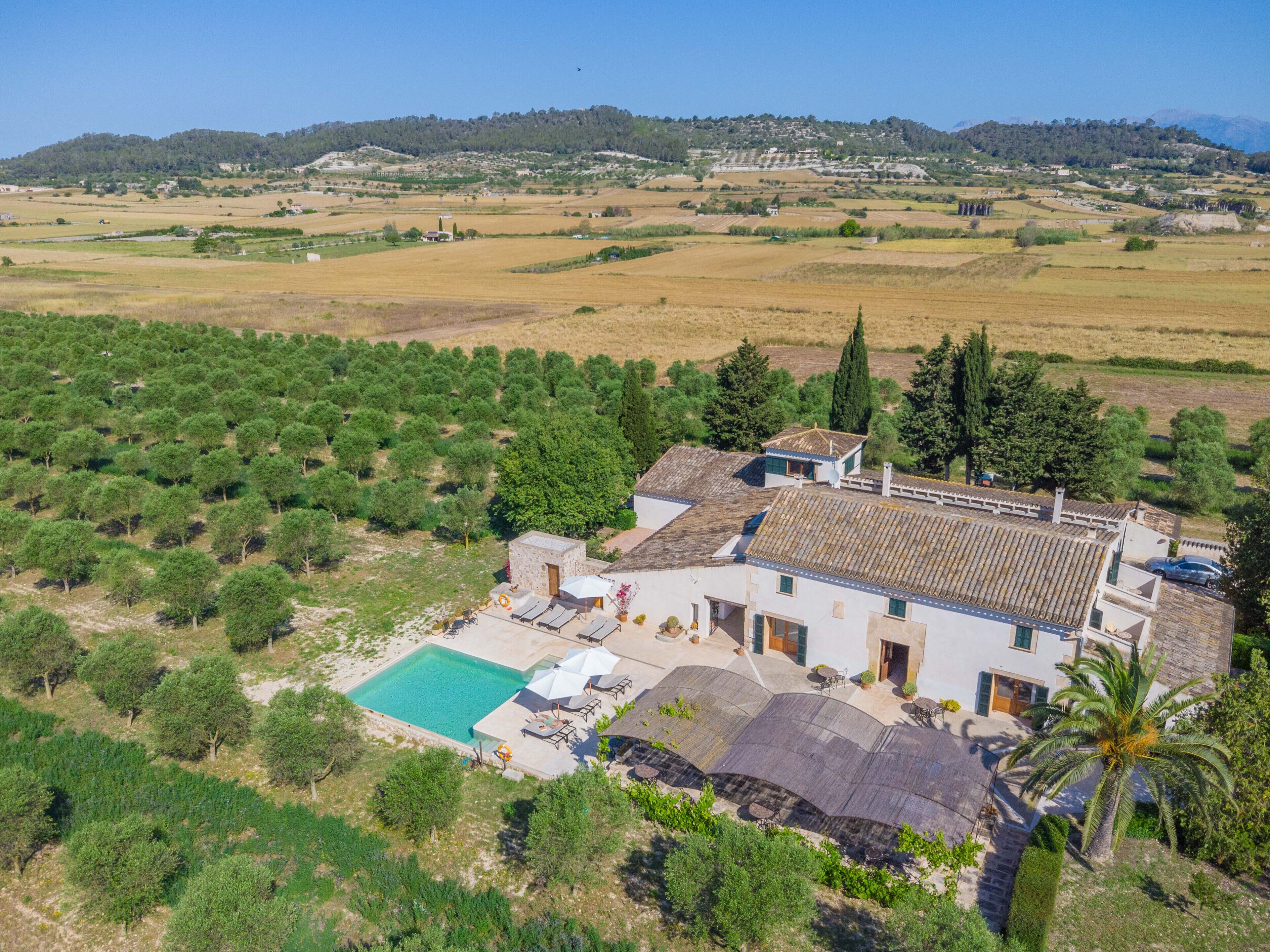 A villa with a swimming pool, surrounded by olive groves and a hilly landscape.