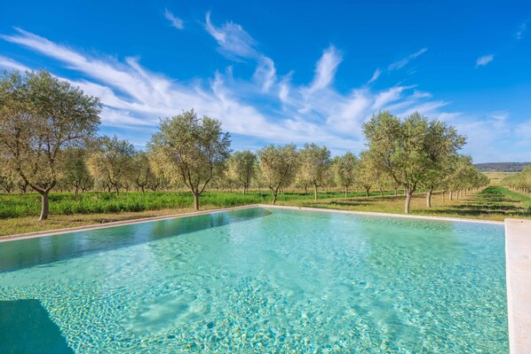 Pool - GOSSALBA - ESTANDARD - Nice room in agriturismo with shared pool and free Wifi (Sant Joan)