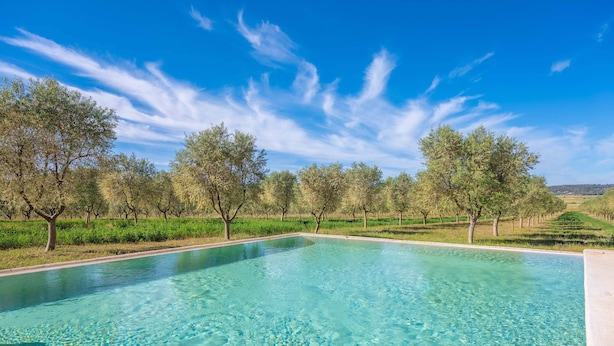 Une piscine rectangulaire à l’eau d’un bleu limpide, entourée d’une pelouse parsemée d’arbres, sous un ciel dégagé.