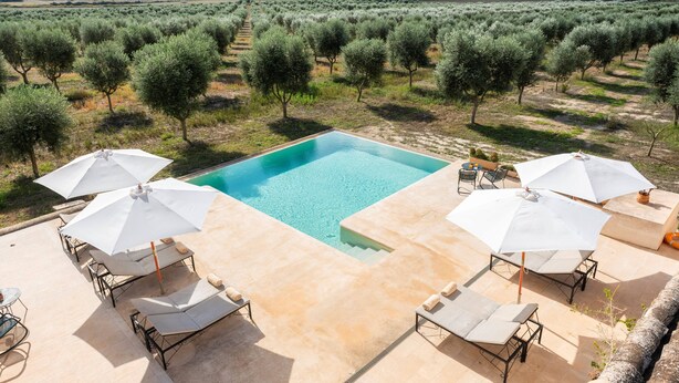 A pool area with lounge chairs and umbrellas, surrounded by olive trees and a view of the countryside. - GOSSALBA - DELUXE - Nice room in agriturismo with shared pool and free Wifi (Sant Joan)