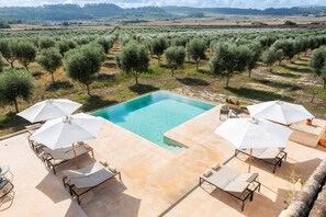 Ein Poolbereich mit Liegestühlen und Sonnenschirmen, umgeben von Olivenbäumen und Blick auf die Landschaft.
