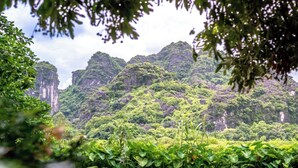 A lush green landscape with dense vegetation and rocky cliffs. - Tràng An Sunny River Homestay (Hoa Lu)