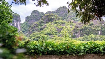 Vue aérienne