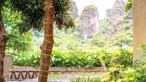 A garden with a stone bench, a tree wrapped with string lights, and lush greenery in the background. - Tràng An Sunny River Homestay (Ninh Binh)
