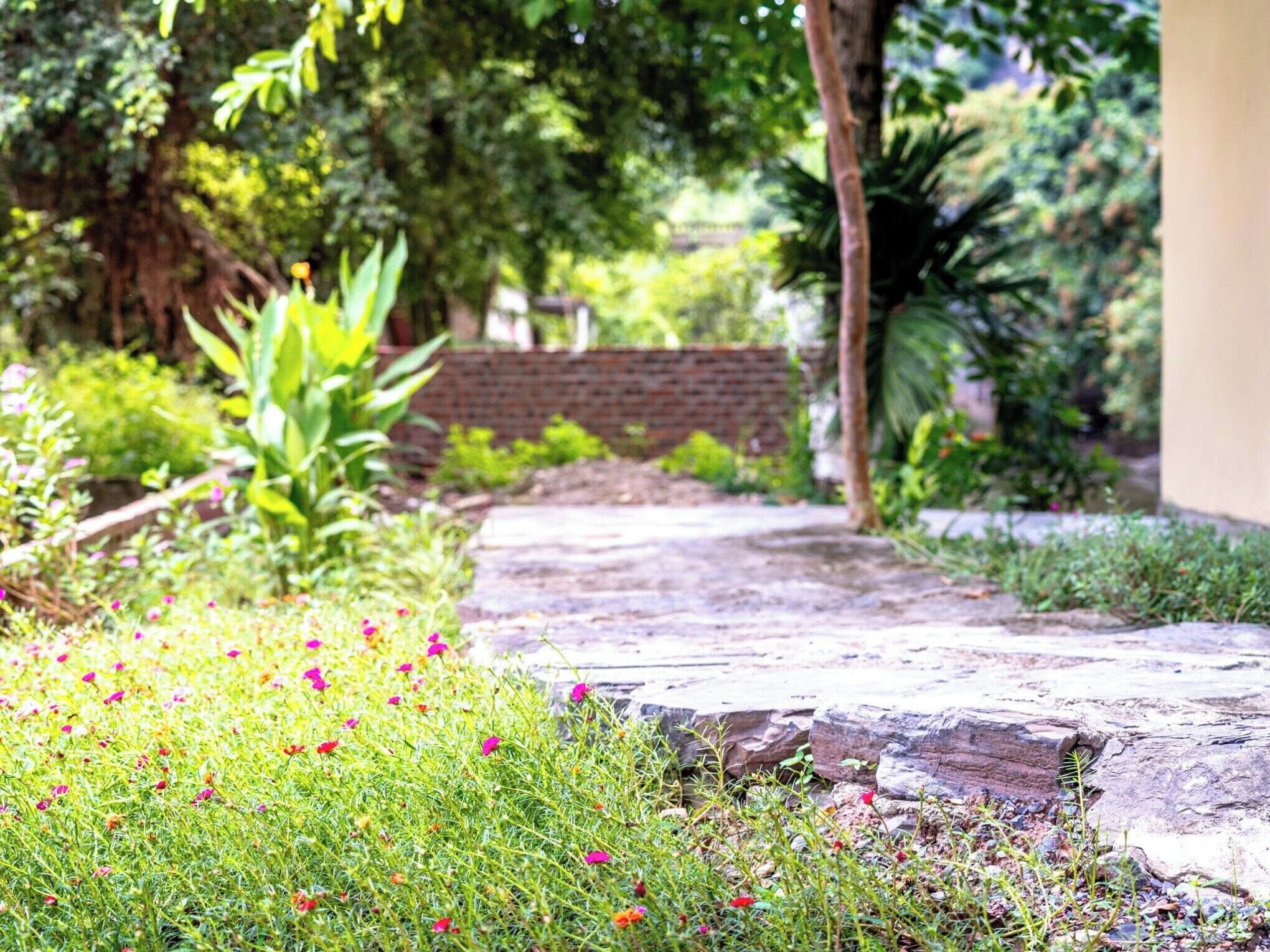 A stone pathway leading through a garden with various plants and flowers.
