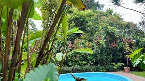 Un exuberante jardín con una piscina azul rodeada de diversas plantas y árboles tropicales.