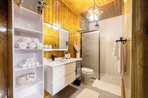 Hair dryer, towels, soap, shampoo