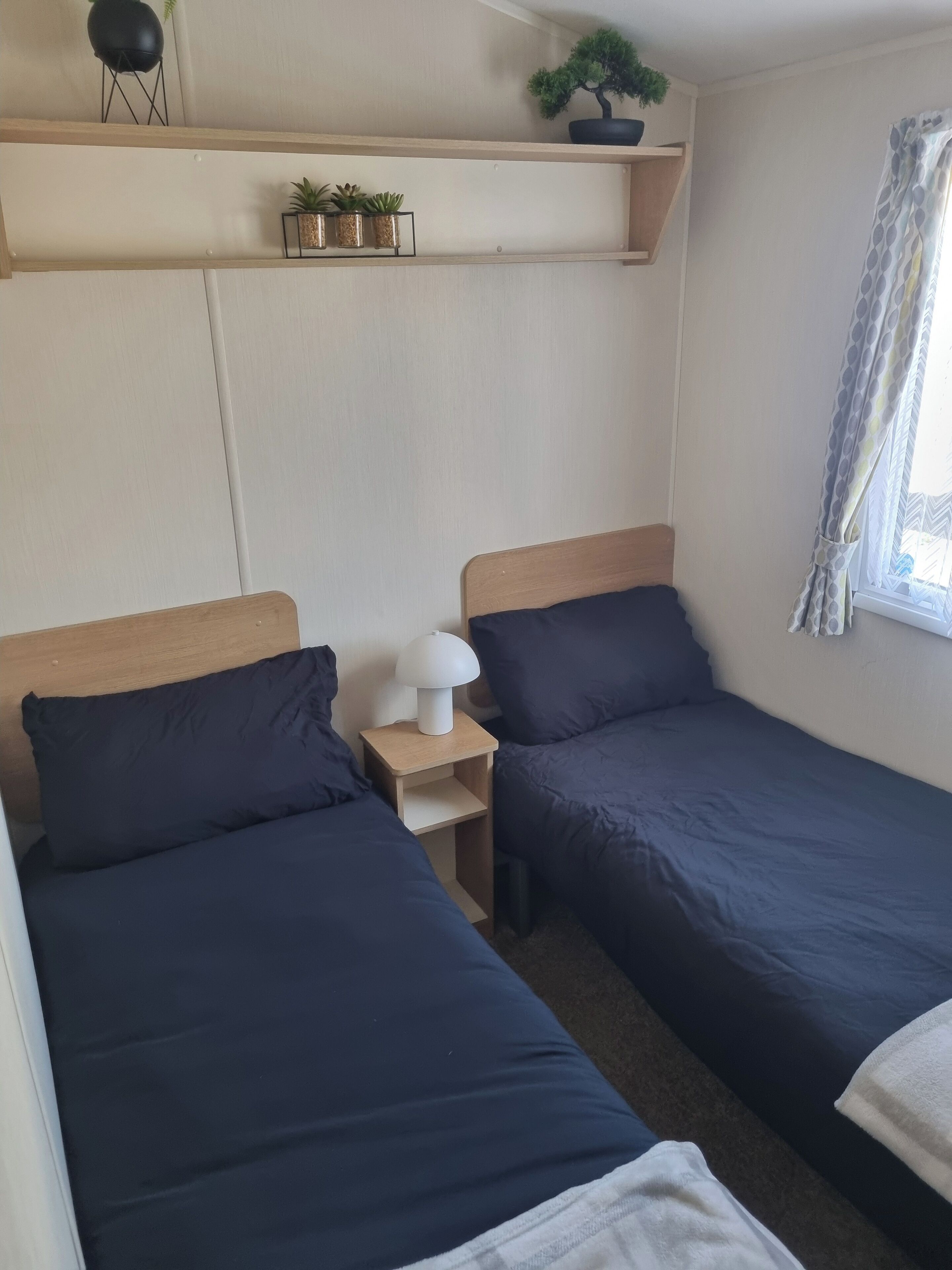 A bedroom with two beds, a nightstand, a lamp, and a shelf with plants.