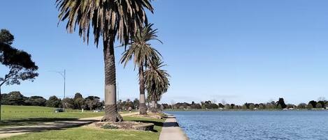 A pathway beside a calm lake with palm trees and a clear blue sky.