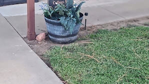 A house number sign, outdoor chairs, and a planter with greenery.