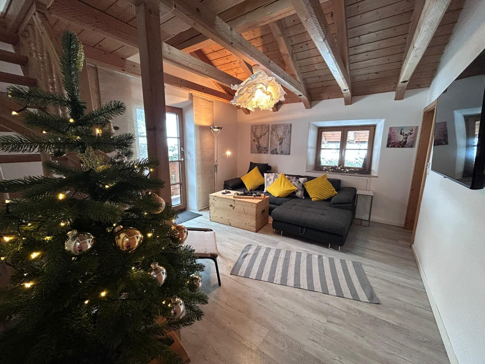 Fernseher, Tischtennisplatte