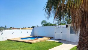 Ein Garten mit Swimmingpool, einer Palme und einer weißen Mauer mit einer Tür.