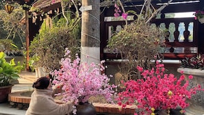 A woman crouching next to a pink flowering plant in a garden area with brick pathways and various potted plants. - Him Lam Eco Resort (Dien Bien Phu)