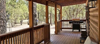Charming remodeled family cabin room for 8 nestled in the woods & near skiing