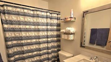 Hair dryer, towels, soap, shampoo