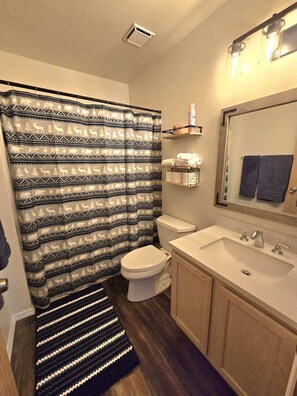 Hair dryer, towels, soap, shampoo