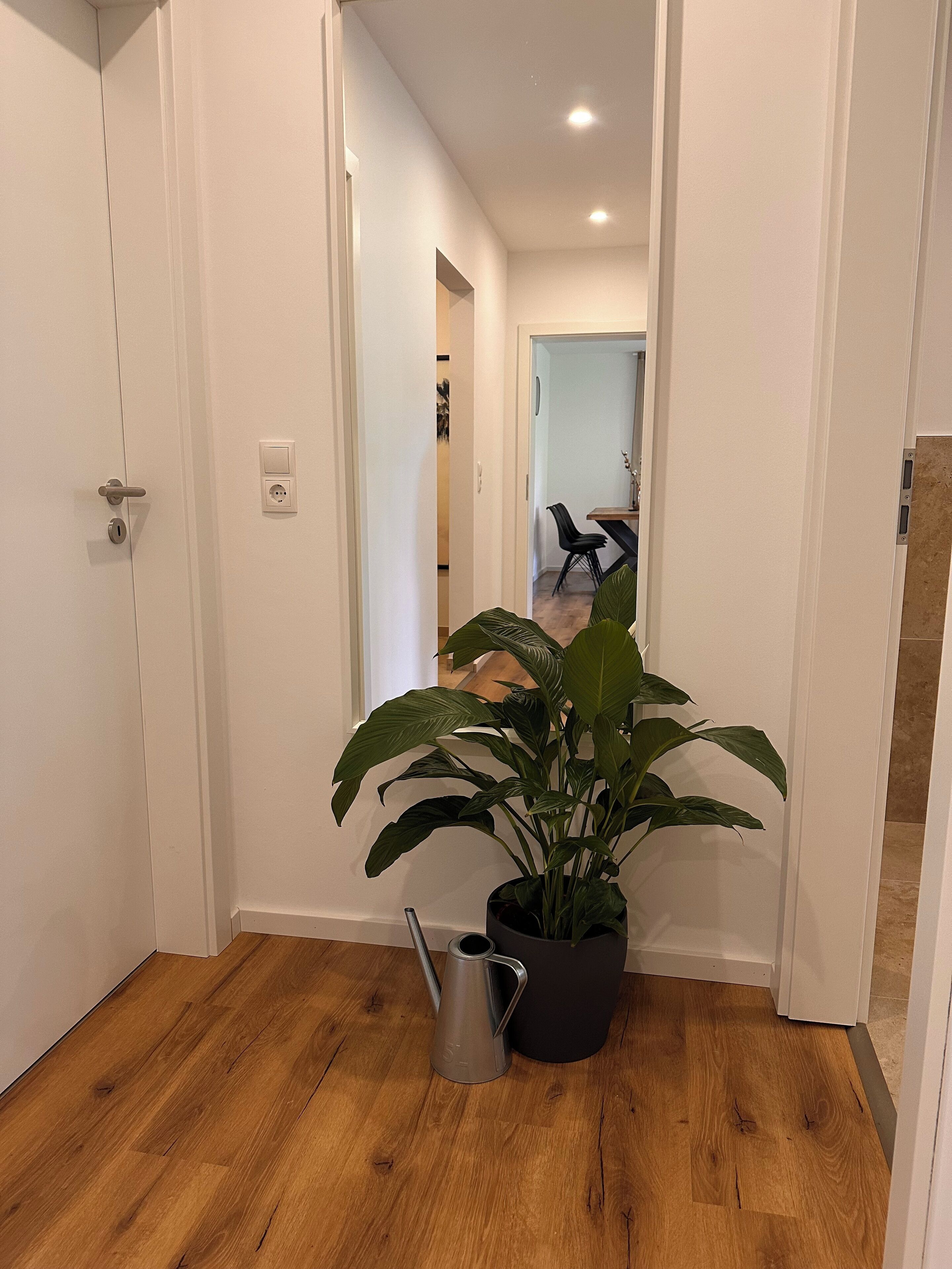 A hallway with a potted plant, a metal water pitcher, and a dining area in the background.