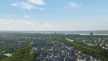 Servicio de la propiedad