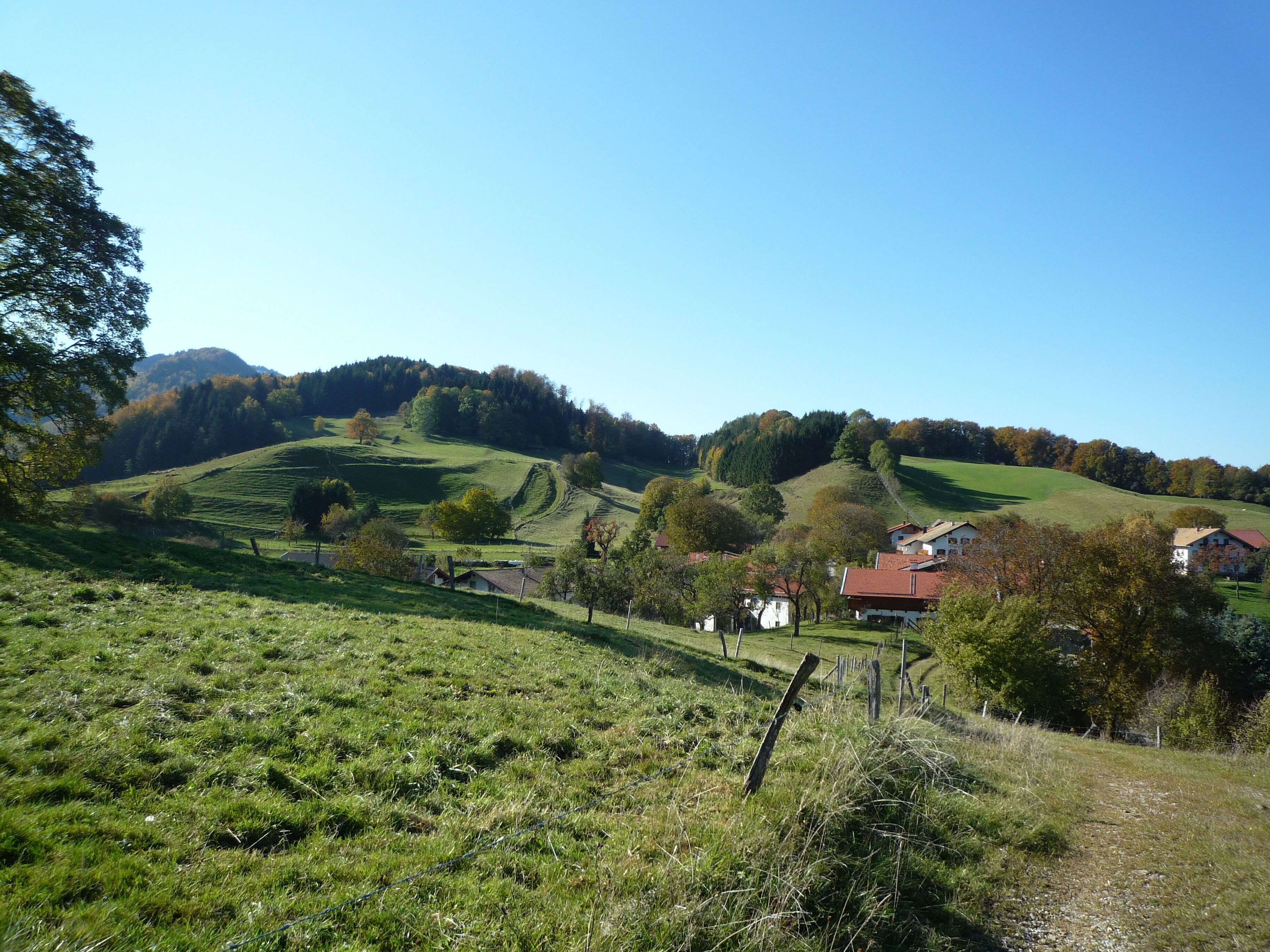 Siglhof am Pattenberg (DE Bergen) - Wohlmayer Heidi - 5215-Blick über den Pattenberg