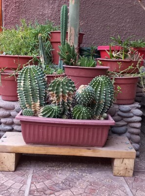 Exterior - Casa Sutar 6 (San Pedro de Atacama)