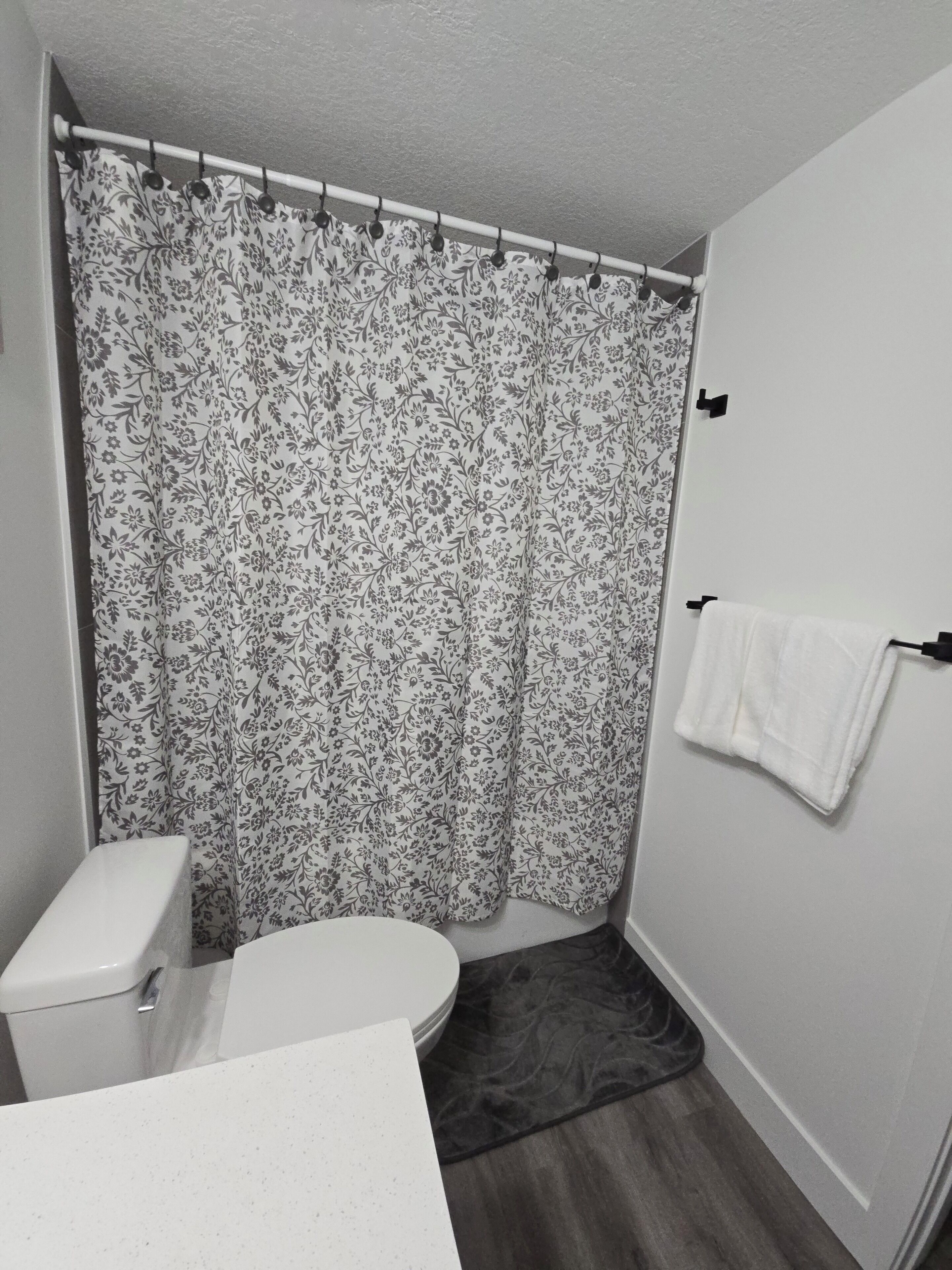 Hair dryer, towels, soap, shampoo