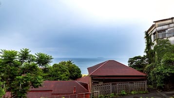 House, Balcony, Ocean View | View from room