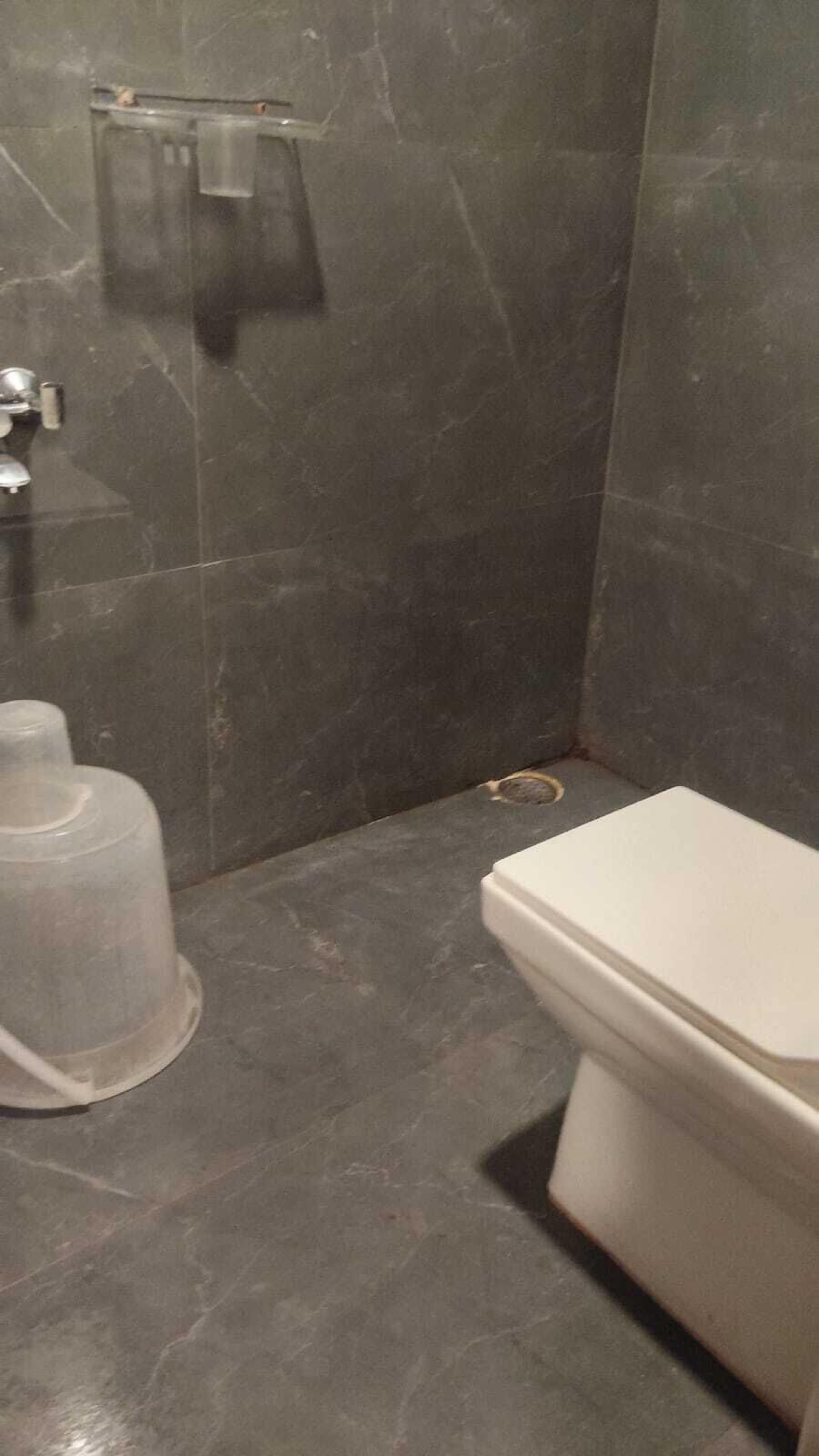 Foto - Wildwings hotel