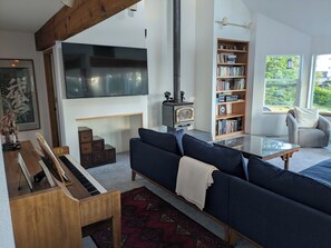 Smart TV, fireplace, books, stereo