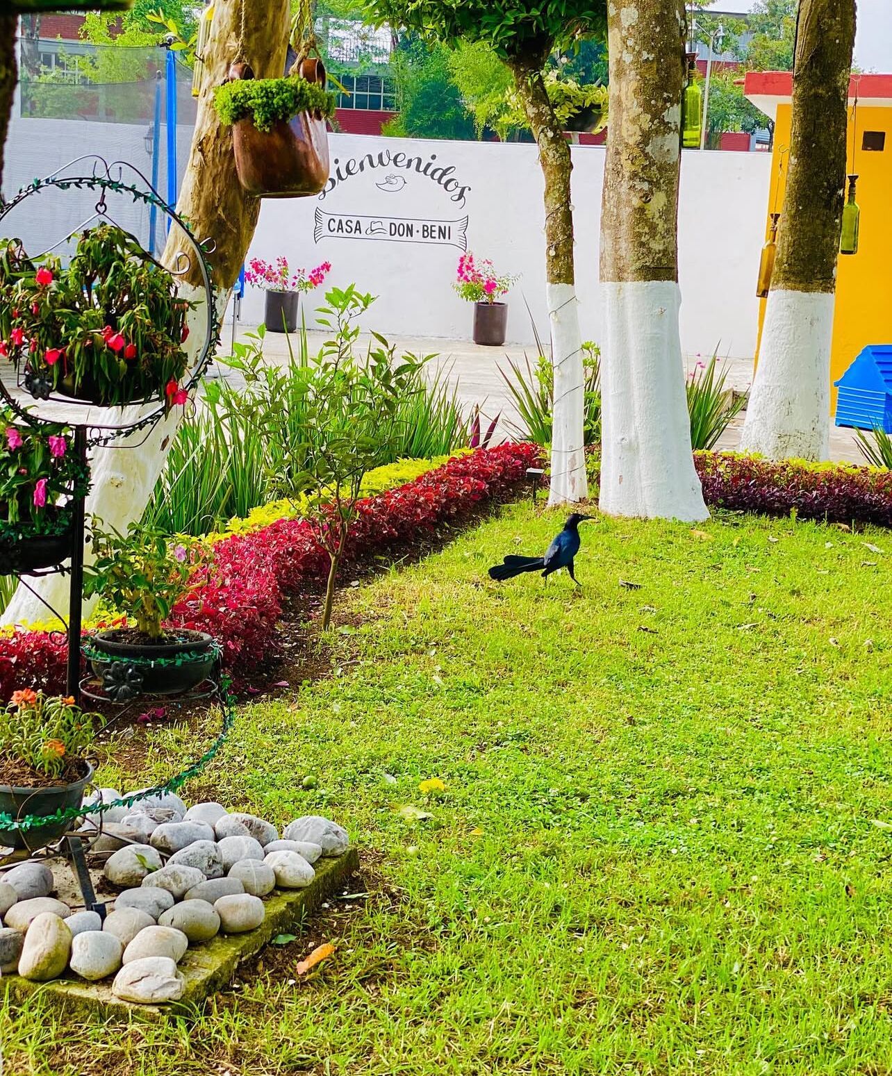 Enceinte de l’hébergement