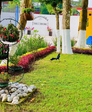 Property grounds - CASA DON BENI (A PET-FRIENDLY SPACE IN THE HEART OF XICOTEPEC) (Xicotepec de Juárez)