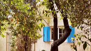 A rustic building with a white exterior and blue shutters, surrounded by trees and dry leaves on the ground. - Sète - La Vigie Singulière (Sète)